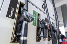 Vplyv OPEC+ na fyzický trh s ropou je momentálne veľmi obmedzený. FOTO: TASR/DPA