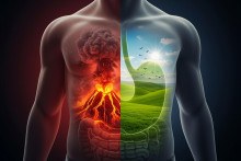 K najčastejším príčinám bolestí žalúdka v hornej časti brucha patria reflux, baktéria Helicobacter pylori a funkčné poruchy trávenia.